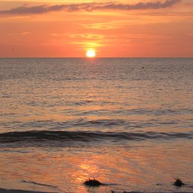 Profile Picture of Stacy Adrian (@stacyadrian) on Pinterest