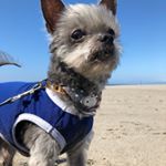Profile Picture of nancy ramsay (@nancyramsay_44) on Instagram