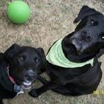 Profile Picture of Jo Ellen Saleeby Bryant (@doandjo4fun) on Instagram