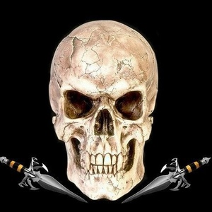 Profile Picture of Jerry Hilbun (@smartassrebel08) on Myspace