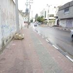 Profile Picture of randa_ea (@randa_el_alami) on Instagram