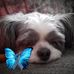 Profile Picture of Marsha Chapman (@marsha.chapman.501) on Facebook