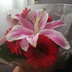 Profile Picture of ada Mayeli Valladares peña (@adamayelivalladares) on Instagram