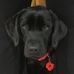 Profile Picture of Jackie Hawkes (@jackie.hawkes.108) on Facebook
