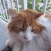 Profile Picture of Guy La Rue (@guylarue) on Pinterest