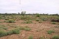Profile Picture of Brewarrina Aboriginal Mission Siteon Wikipedia