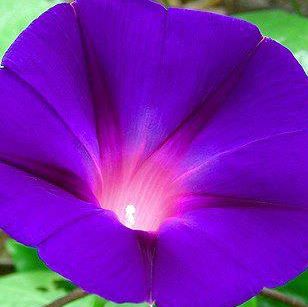 Profile Picture of Haynalka Fekete (@haynalka.fekete) on Facebook