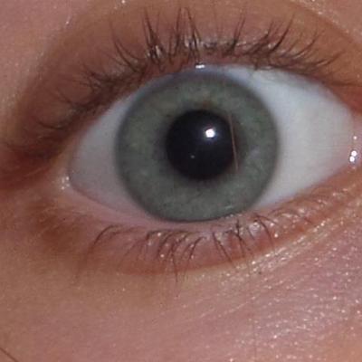 Profile Picture of Phyllis Fields (@fishfields1) on Twitter