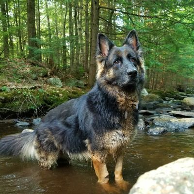 Profile Picture of Kevin Ellingwood (@kevinellingwood) on Twitter