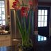 Profile Picture of Kathy Petrilli (@kathy.petrilli) on Facebook