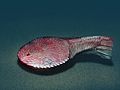 Profile Picture of Ctenaspison Wikipedia