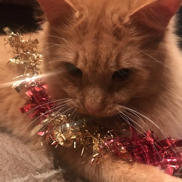 Profile Picture of Amy Chereshkoff (@smlc79) on Poshmark