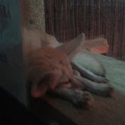 Profile Picture of David Balasa (@davidkingofthieve4301) on Youtube