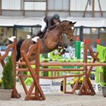 Profile Picture of Lisa Melvin (@izabelldedyet) on Instagram