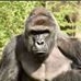 Profile Picture of Roger Case (@roger.case.773) on Facebook