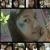 Profile Picture of Aleck Franchesca Yap (@292933835) on Myspace