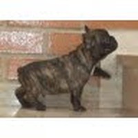 Profile Picture of Katelyn Cline (@katelyn-cline-12) on Quora