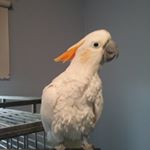 Profile Picture of David Kipp (@david.kipp.7) on Instagram