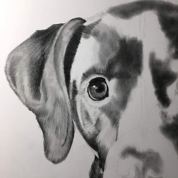 Profile Picture of William Hand (@handwr) on Poshmark