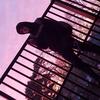 Profile Picture of user619362 (@@dan_sim03) on Tiktok