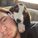 Profile Picture of Robert Lapeer (@r.lapeer) on Instagram