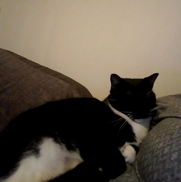 Profile Picture of Samantha Colley (@scolley423) on Poshmark