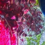 Profile Picture of Pavan Aldar (@Pavan-Aldar) on Facebook