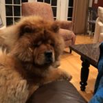 Kevin Albano - Instagram Profile Picture of Kevin Albano (@kevin.albano) on Instagram