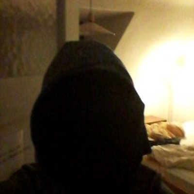 Profile Picture of Maximilian Sperling (@121040Max) on Twitter