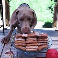 Profile Picture of Patti Kemper (@patti-kemper) on Quora