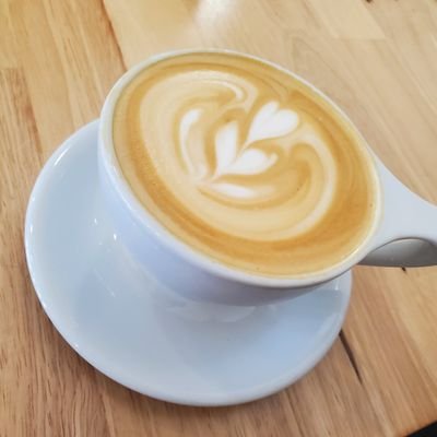 Profile Picture of Mike Paprocki (@MikeAppas) on Twitter