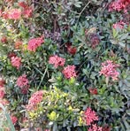 Profile Picture of Kanok Wala (@kanok.wala.2024) on Facebook