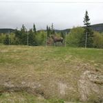 Profile Picture of Sherry Maxwell (@sherry.maxwell.777) on Instagram