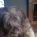 Profile Picture of Jacob Edwin Fosheim (@jefosheim) on Facebook