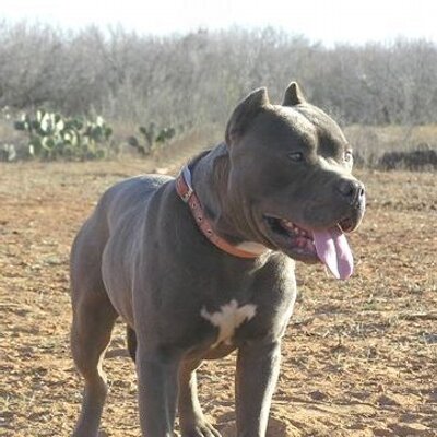 Profile Picture of Keith Vega (@keithvega1) on Twitter