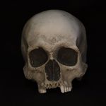 Profile Picture of Andreas Sedlacek-Weber (@andsewephoto) on Instagram