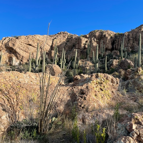 Jarrid Younkin - Poshmark Profile Picture of Jarrid Younkin (@shoes4thewin) on Poshmark