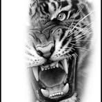 Profile Picture of Roberto Lodch (@roberto.lodch) on Facebook