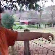 Profile Picture of Tharpwl (@tharpwl) on Youtube