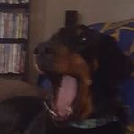 Profile Picture of michael lesik (@mike_fd69) on Instagram