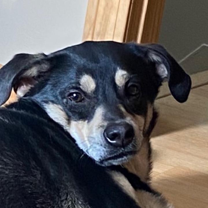 Profile Picture of Harold’s Mom (@haroldsuniverse) on Tiktok