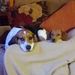 Profile Picture of Carla Albro (@carlaalbro) on Pinterest