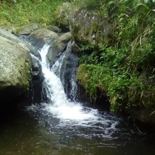 Profile Picture of Simon Yoko (@simon.yoko.12) on Facebook