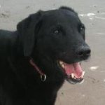 Profile Picture of Joe Kearney (@mr_mungers) on Instagram