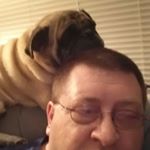 Profile Picture of jim wildeman (@wildpug) on Instagram