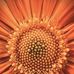 Profile Picture of Rajesh Ahuja (@Rajesh-Ahuja) on Facebook