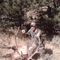Profile Picture of Ray Schulte (@ray.schulte.165) on Facebook