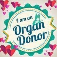 Profile Picture of Cathy Vercel (@cathy-vercel) on Quora