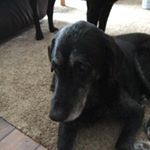 Profile Picture of Nolan maurice (@nolanmaurice26) on Instagram