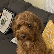 Profile Picture of Stevie Nicholson (@stevienicholson1148) on Youtube